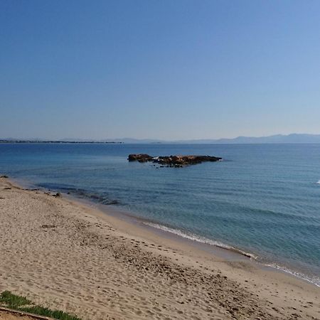 Summerhouse Peggy: Close To Athens Airport By The Sea Ártemida Kültér fotó